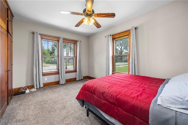 1029 S Main St, Grafton, OH 44044 - bedroom with carpet floors and ceiling fan