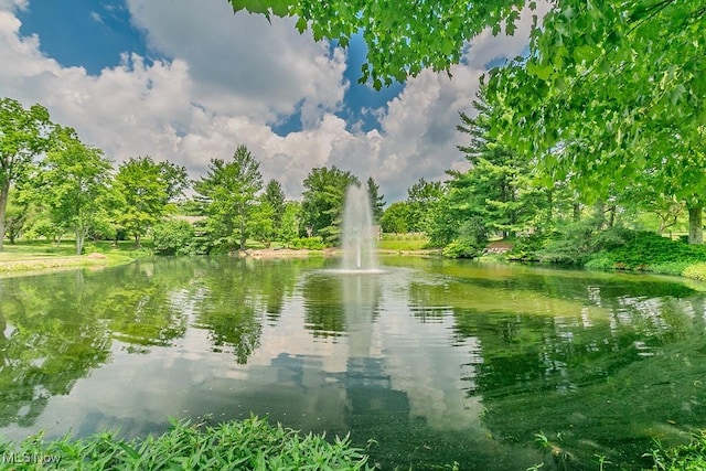 583 Mock Orange Cir, Chagrin Falls, OH 44023 - water view