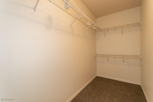 583 Mock Orange Cir, Chagrin Falls, OH 44023 - spacious closet with dark colored carpet