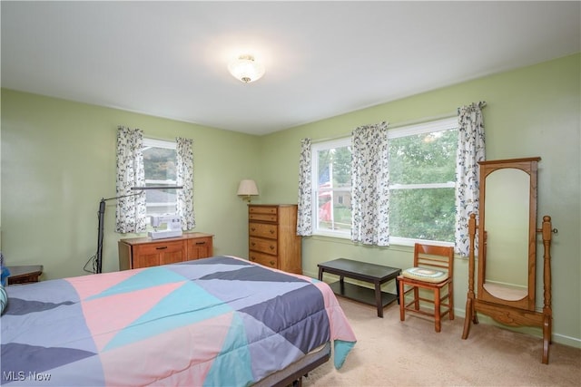 291 S Cleveland Ave, Mogadore, OH 44260 - bedroom with multiple windows and light colored carpet