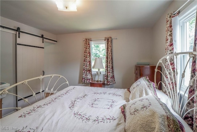 2077 Daniels Ave, Akron, OH 44312 - bedroom with multiple windows and a barn door