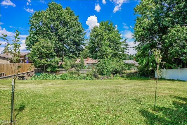 2077 Daniels Ave, Akron, OH 44312 - view of yard