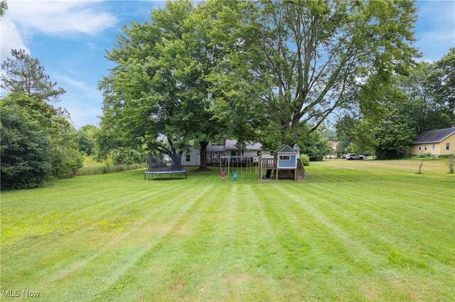1332 Broadview Ave, Akron, OH 44321 - view of green lawn featuring a trampoline and a playground