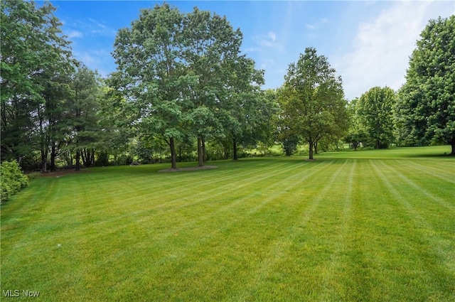 5461 Brook Run Ave NE, Louisville, OH 44641 - view of grassy yard featuring view of wooded area