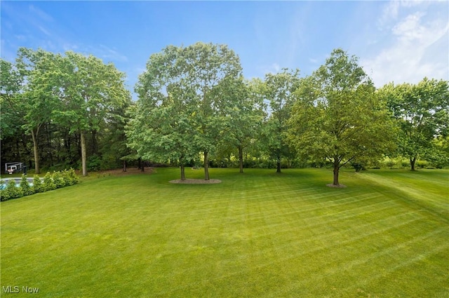 5461 Brook Run Ave NE, Louisville, OH 44641 - view of green lawn with view of scattered trees
