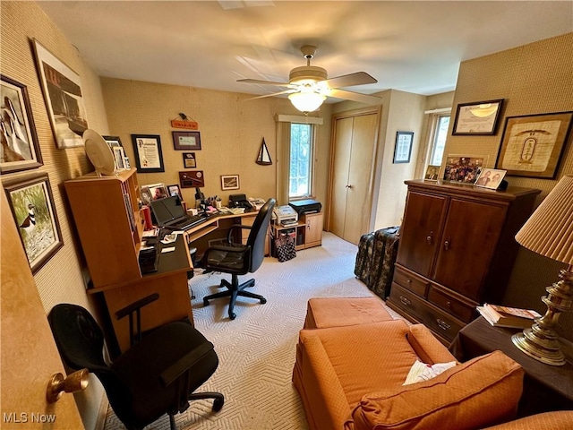 130 E 199th St, Euclid, OH 44119 - office featuring light carpet, plenty of natural light, and a ceiling fan
