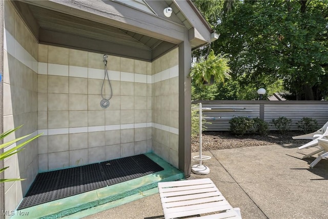 1293 Redtail Hawk Dr Unit 4, Boardman, OH 44512 - bathroom featuring a tile shower