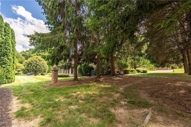 5200 Tanglewood Ave NE, Louisville, OH 44641 - view of grassy yard