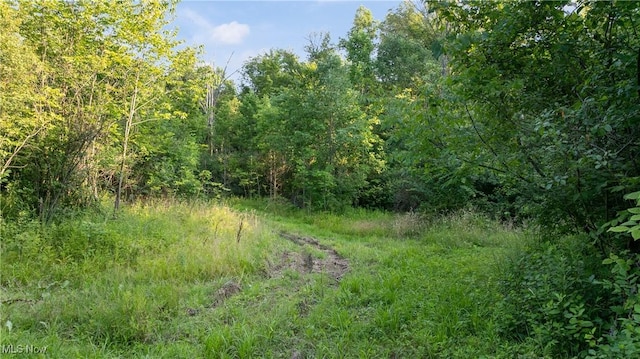 4538 Kingsbury Rd, Medina, OH 44256 - photo 7