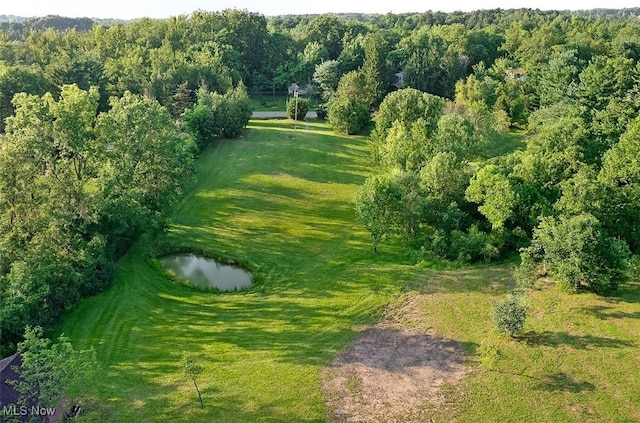 4538 Kingsbury Rd, Medina, OH 44256 - photo 6