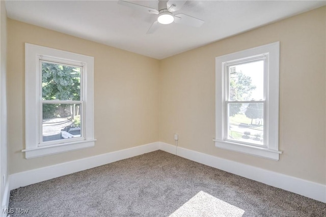 567 E Cuyahoga Falls Ave, Akron, OH 44310 - photo 17