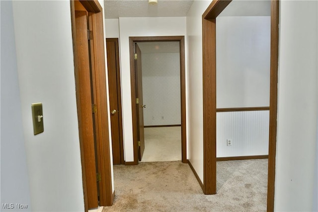 894 Pearson Cir Unit 3, Boardman, OH 44512 - hallway featuring carpet floors and baseboards