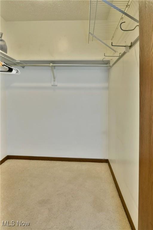 894 Pearson Cir Unit 3, Boardman, OH 44512 - walk in closet with carpet flooring