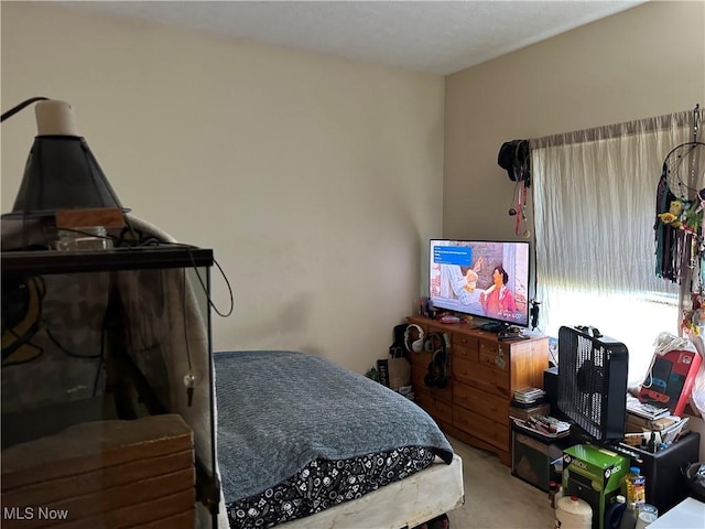 16199 Emerald Pt, Middleburg Heights, OH 44130 - bedroom with carpet