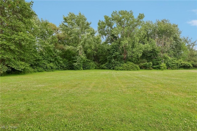 4350 Boston Rd, Richfield, OH 44141 - photo 43