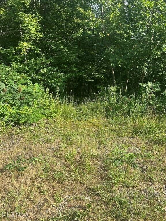 W W Salem Rd, West Salem, OH 44287
