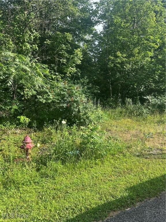 W W Salem Rd, West Salem, OH 44287