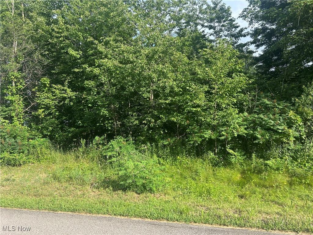 W W Salem Rd, West Salem, OH 44287