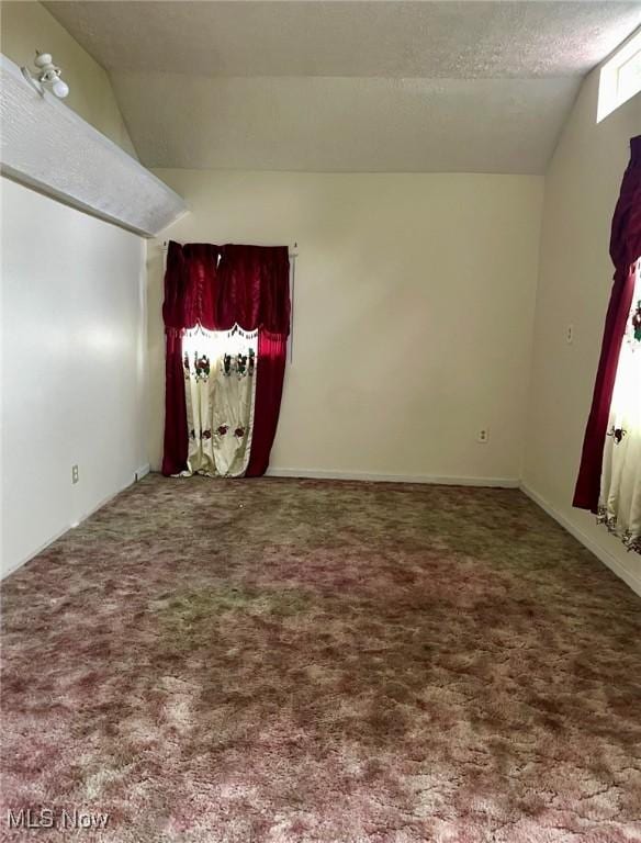 1709 E 29th St, Lorain, OH 44055 - additional living space with lofted ceiling and carpet flooring