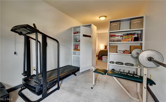99 Mccook Ave, Carrollton, OH 44615 - workout area featuring carpet flooring