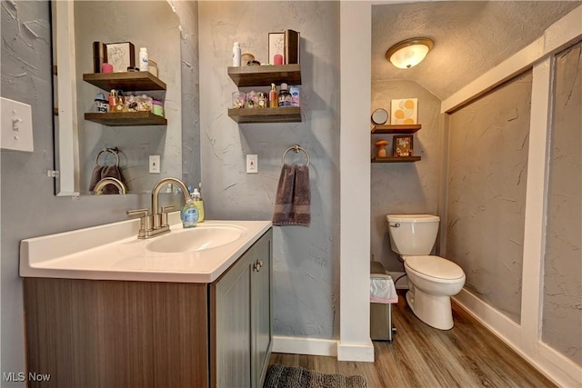 99 Mccook Ave, Carrollton, OH 44615 - bathroom featuring wood finished floors, vanity, lofted ceiling, and a textured ceiling