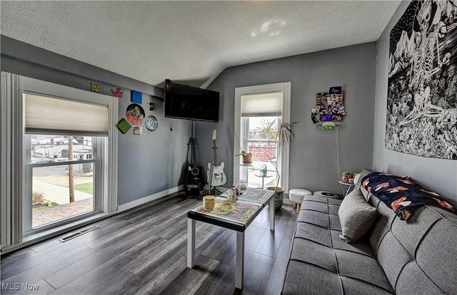 99 Mccook Ave, Carrollton, OH 44615 - living area featuring wood finished floors, plenty of natural light, vaulted ceiling, and a textured ceiling