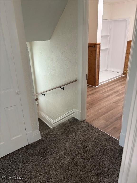 600 Marcus St, East Liverpool, OH 43920 - hallway featuring carpet and wainscoting