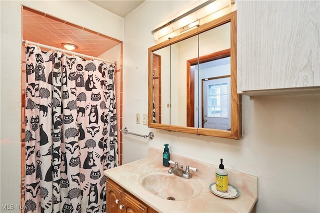 5552 Briarcliff Dr, Garfield Heights, OH 44125 - bathroom with vanity and a shower with curtain