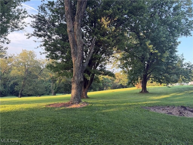 62239 Hillcrest Rd, Barnesville, OH 43713 - view of green lawn