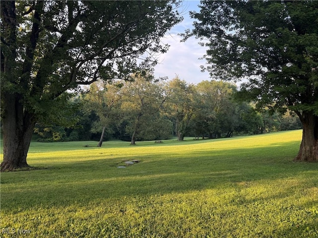62239 Hillcrest Rd, Barnesville, OH 43713 - surrounding community featuring a yard and view of wooded area