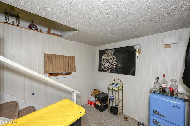 1266 Pitkin Ave, Akron, OH 44310 - recreation room with carpet flooring and a textured ceiling