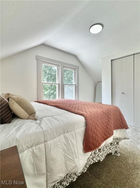 3187 Grenfall Rd, Norton, OH 44203 - carpeted bedroom featuring vaulted ceiling and a closet