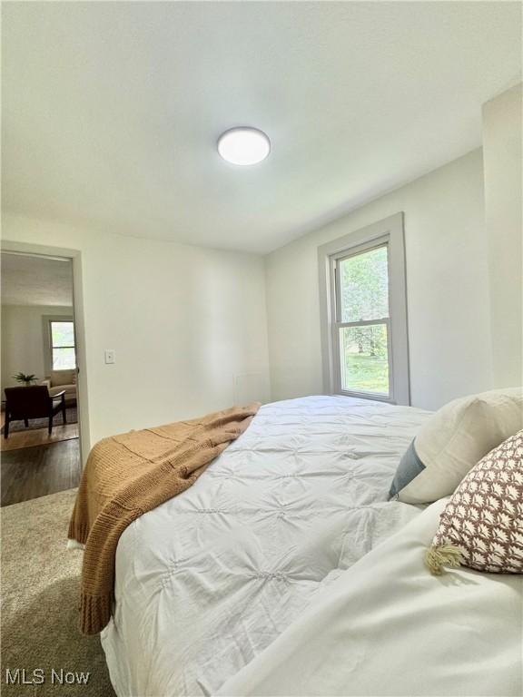 3187 Grenfall Rd, Norton, OH 44203 - bedroom featuring multiple windows and wood finished floors