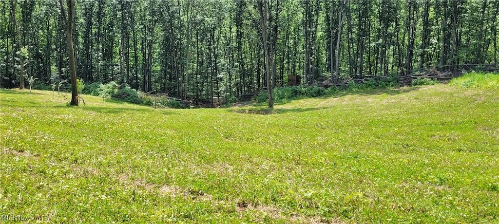 SE Gilmore Rd, Gnadenhutten, OH 44629 - photo 1