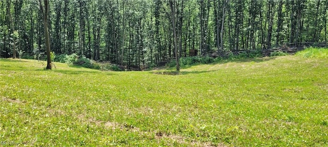 SE Gilmore Rd, Gnadenhutten, OH 44629 - photo 1