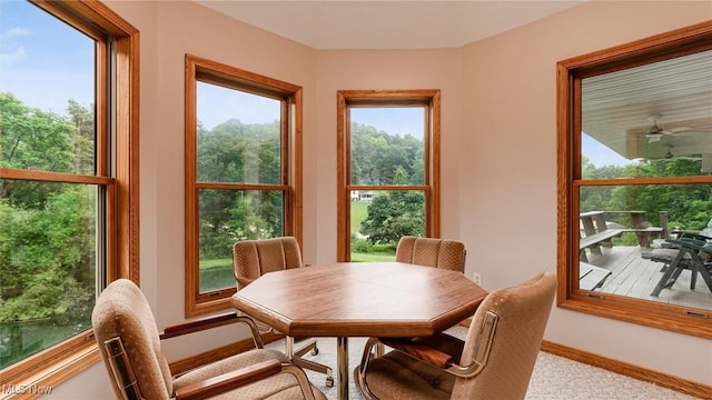 4101 Oak Ridge Ln, Cambridge, OH 43725 - dining area with carpet floors and baseboards