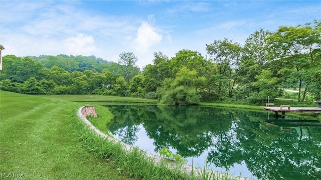 4101 Oak Ridge Ln, Cambridge, OH 43725 - water view featuring a heavily wooded area