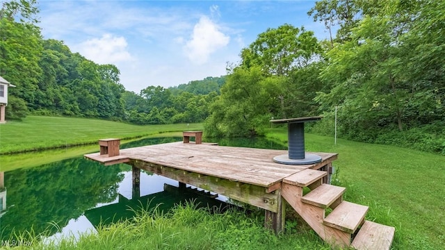 4101 Oak Ridge Ln, Cambridge, OH 43725 - view of home's community featuring a water view, a dock, a lawn, and a wooded view