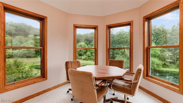 4101 Oak Ridge Ln, Cambridge, OH 43725 - dining room with carpet floors and baseboards