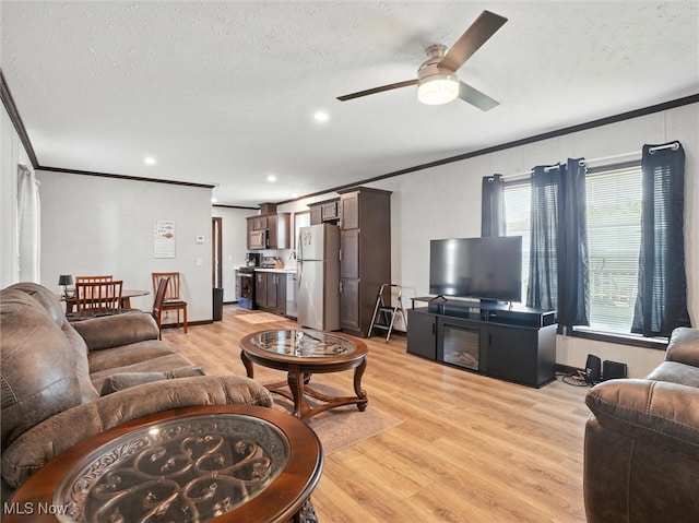 187 Garfield Ln, Jefferson, OH 44047 - living area with ornamental molding, a textured ceiling, light wood finished floors, and ceiling fan