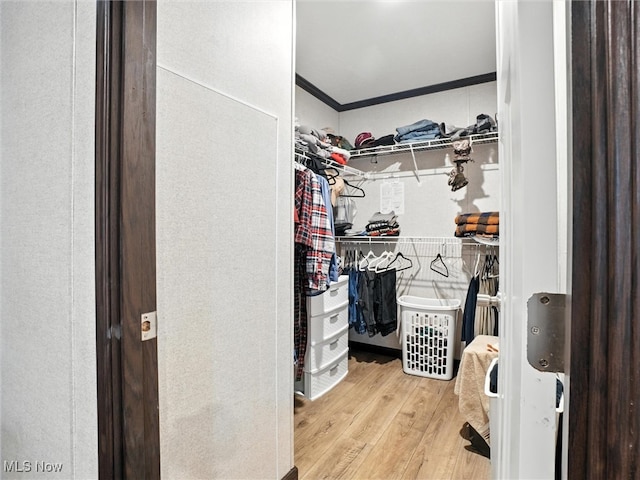 187 Garfield Ln, Jefferson, OH 44047 - walk in closet with wood finished floors