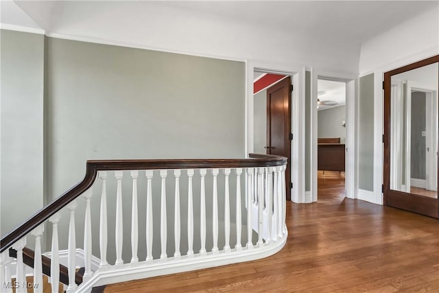 13412 Clifton Blvd, Lakewood, OH 44107 - photo 24