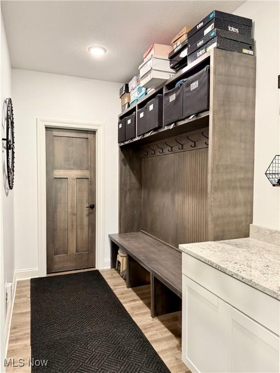 2710 E Hutton Rd, Wooster, OH 44691 - mudroom featuring light wood-style flooring
