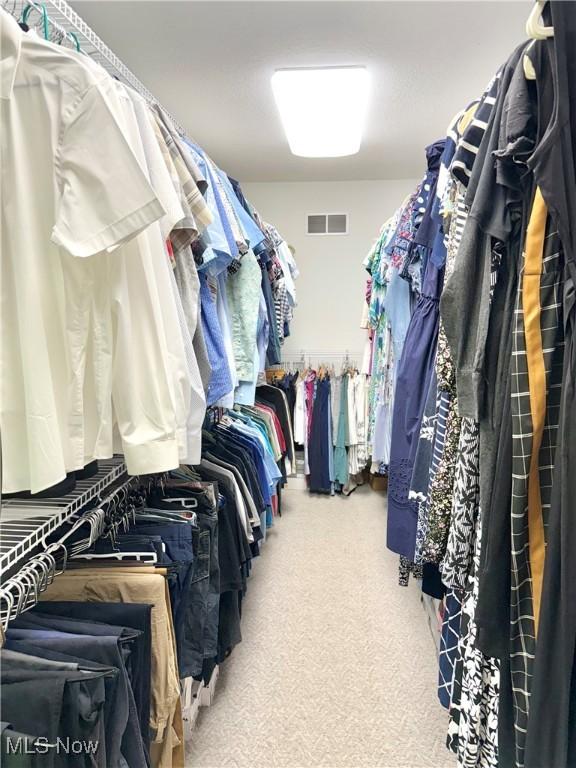 2710 E Hutton Rd, Wooster, OH 44691 - spacious closet featuring carpet floors