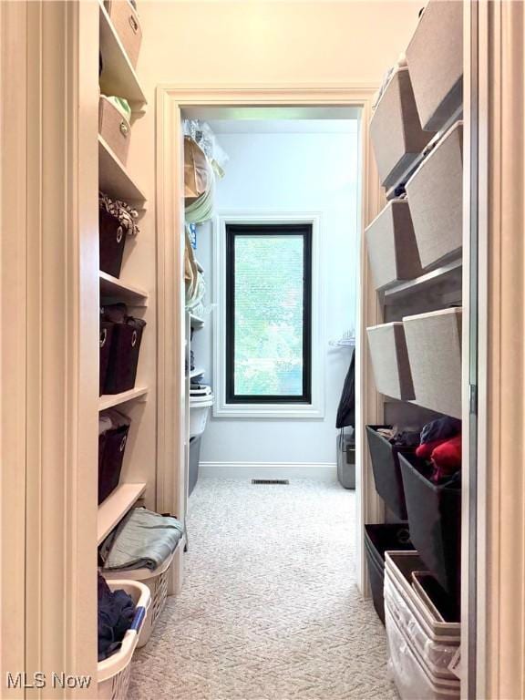 2710 E Hutton Rd, Wooster, OH 44691 - spacious closet featuring carpet flooring