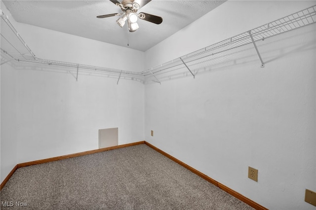 249 Forest Park Dr, Lagrange, OH 44050 - photo 17