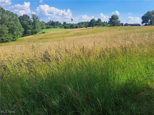 0 Cedar Hill Rd, Dexter City, OH 45727