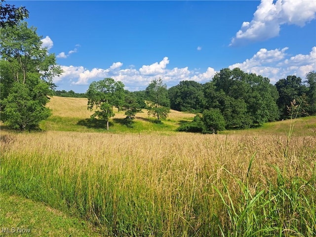 0 Cedar Hill Rd, Dexter City, OH 45727