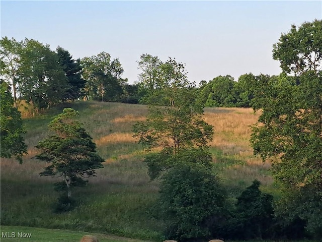 0 Cedar Hill Rd, Dexter City, OH 45727