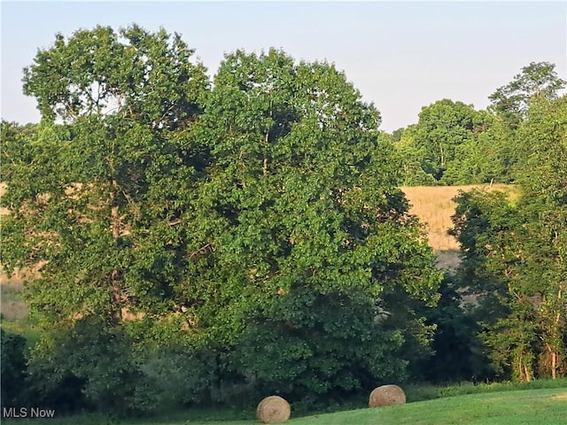 0 Cedar Hill Rd, Dexter City, OH 45727